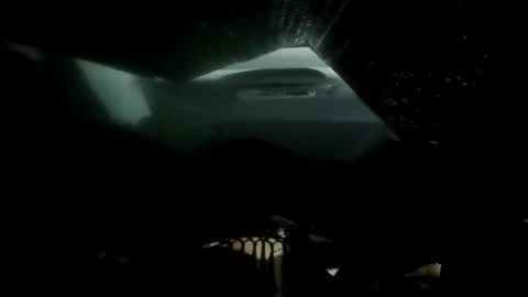 phillipdee online show from 26, 11, 2025