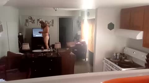 Phinfan online show from 23, 2, 2025