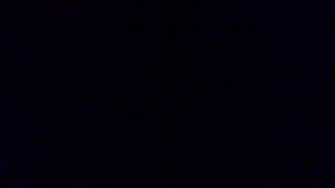 Snapshot of pickledalivemrf chatting on 19, 2, 2026 pickledalivemrf online show from 19, 2, 2026