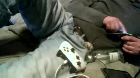 Pierke online show from 9, 1, 2026