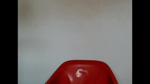 Snapshot of pinkxsugar chatting on 21, 4, 2026 pinkxsugar online show from 21, 4, 2026