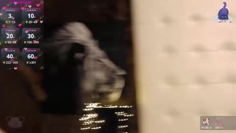 Pinky online show from 15, 2, 2025