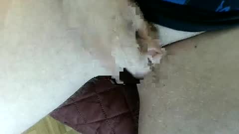 Snapshot of pippo2704 chatting on 26, 1, 2025 pippo online show from 26, 1, 2025