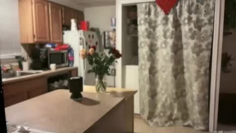 Snapshot of pirdybirdyxo chatting on 30, 1, 2025 pirdybirdyxo online show from 30, 1, 2025