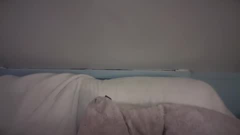 Snapshot of pirdybirdyxo chatting on 26, 2, 2025 pirdybirdyxo online show from 26, 2, 2025