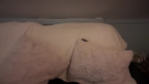 Snapshot of pirdybirdyxo chatting on 2, 3, 2025 pirdybirdyxo online show from 2, 3, 2025