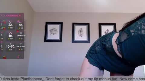 Plantbabeee online show from 2, 12, 2024