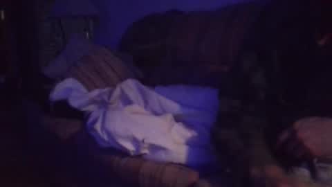 Snapshot of playerpleasure chatting on 4, 4, 2026 playerpleasure online show from 4, 4, 2026