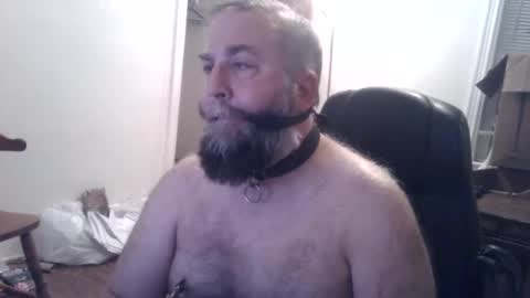 pleasurepuppt online show from 3, 12, 2024