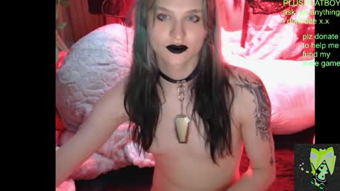 plushcatboy online show from 21, 4, 2026