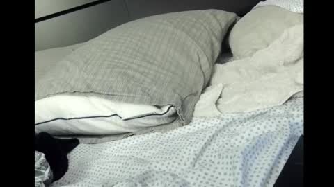 Rocket online show from 2, 3, 2026