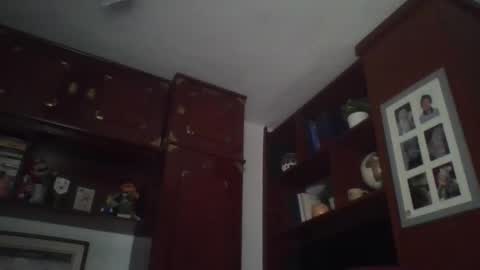 Snapshot of pocoyotop chatting on 22, 3, 2026 pocoyotop online show from 22, 3, 2026