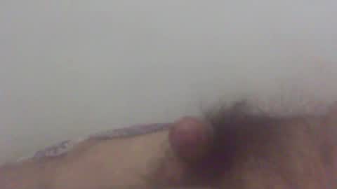 pol2023 online show from 4, 3, 2025