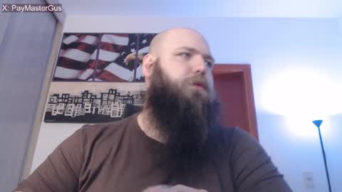 Bear online show from 26, 10, 2025