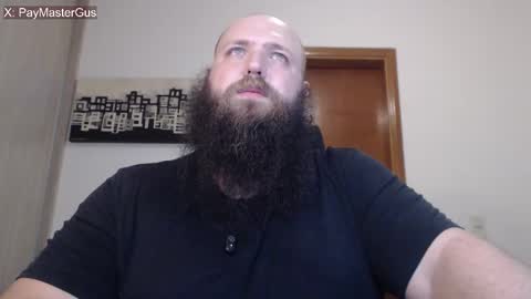 Bear online show from 11, 3, 2026