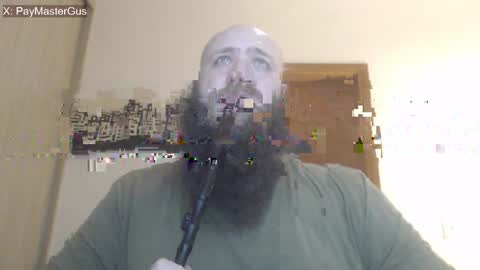 Bear online show from 19, 4, 2026