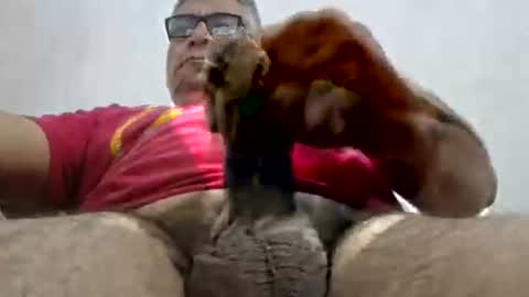 poli online show from 15, 2, 2025