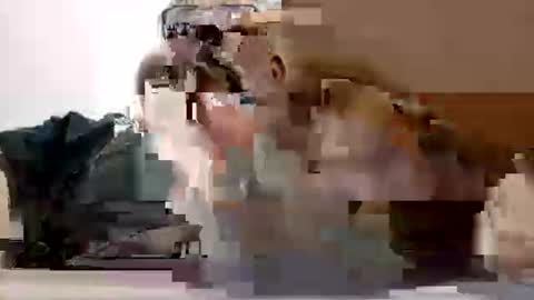 poli online show from 27, 2, 2026