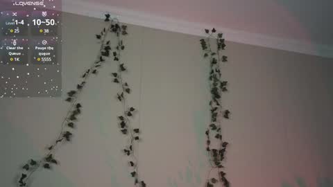 Candytrain online show from 8, 1, 2025