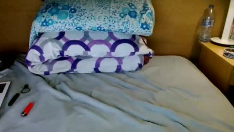 pollon20cm12345 online show from 22, 12, 2024