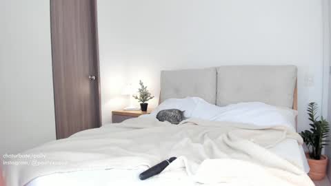 Polly online show from 4, 1, 2025