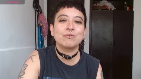 Poly online show from 5, 12, 2024