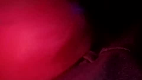 Snapshot of porkchop696974 chatting on 20, 2, 2026 porkchop696974 online show from 20, 2, 2026