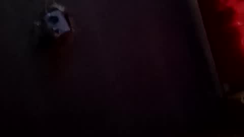 Potro770723 online show from 2, 4, 2026