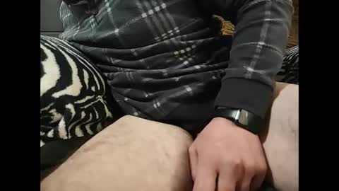 Snapshot of precumbear chatting on 14, 3, 2026 precumbear online show from 14, 3, 2026