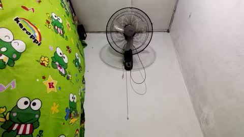 Dinah online show from 19, 12, 2024