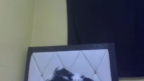 Snapshot of prekky chatting on 27, 2, 2026 lynn online show from 27, 2, 2026