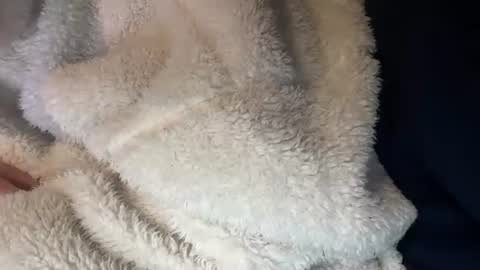 Snapshot of prelako chatting on 26, 10, 2025 Prelako online show from 26, 10, 2025