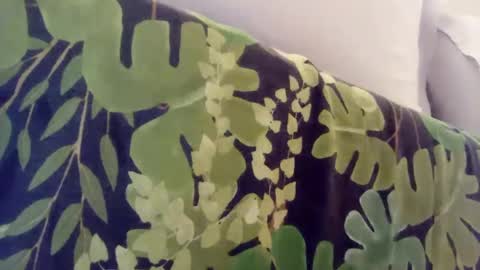 Snapshot of pretty_boy_jack chatting on 8, 1, 2025 pretty_boy_jack online show from 8, 1, 2025