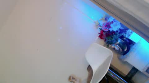 Snapshot of prettybadbitch28 chatting on 9, 6, 2026 prettybadbitch28 online show from 9, 6, 2026
