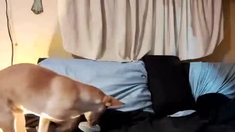 Prettyslangin69 FYPM online show from 26, 2, 2025