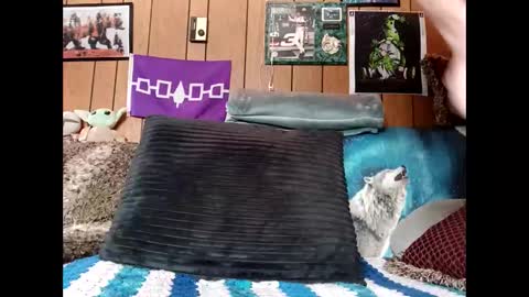 prettysolid7 online show from 22, 3, 2026