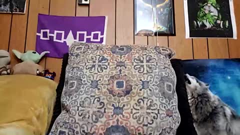 prettysolidd7 online show from 28, 1, 2025