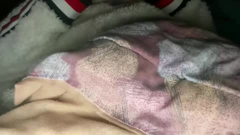 Snapshot of princessoftenis44 chatting on 6, 3, 2025 princessoftenis44 online show from 6, 3, 2025