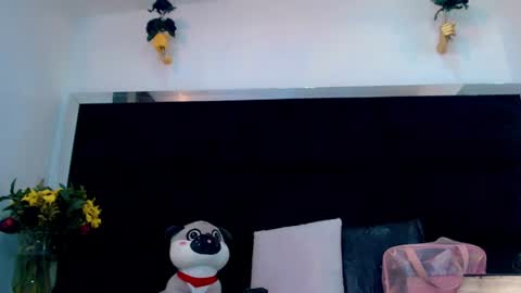 priscilarainbow online show from 11, 6, 2026