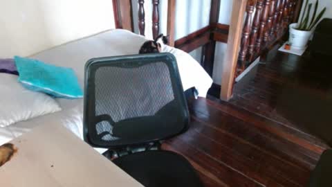 Snapshot of prismm_ chatting on 14, 9, 2025 prismm_ online show from 14, 9, 2025