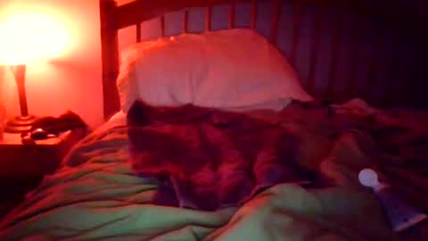 puffer101 online show from 5, 10, 2025