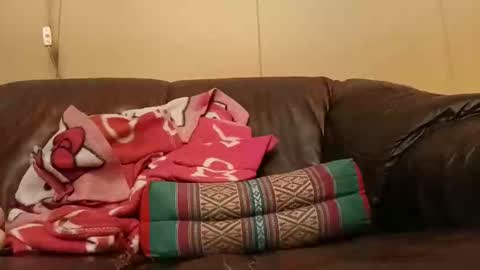 Snapshot of pulepower chatting on 2, 11, 2025 pulepower online show from 2, 11, 2025