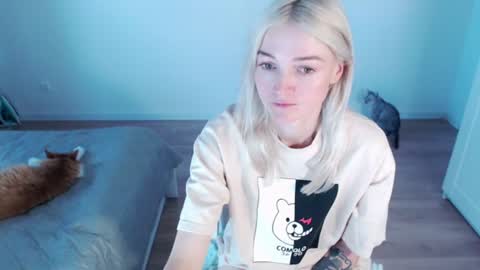 Polly online show from 7, 8, 2026
