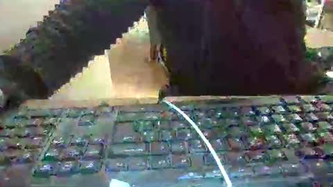 pup_y online show from 17, 1, 2026