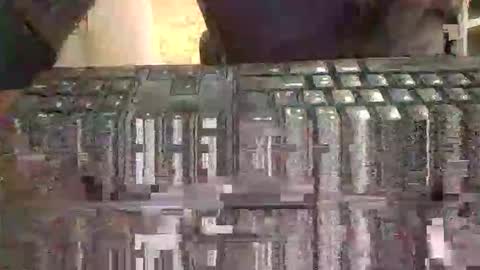 pup_y online show from 2, 2, 2026