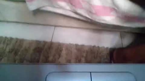 Sweetpie online show from 19, 10, 2025