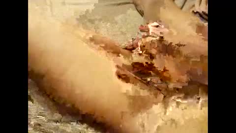 Snapshot of pussymoneyweed9125 chatting on 28, 9, 2025 Thick Pussy banger online show from 28, 9, 2025