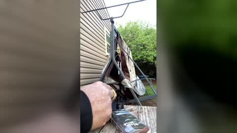 Snapshot of pyrex8 chatting on 5, 4, 2026 pyrex8 online show from 5, 4, 2026