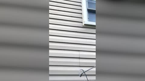 Snapshot of pyrex8 chatting on 11, 4, 2026 pyrex8 online show from 11, 4, 2026