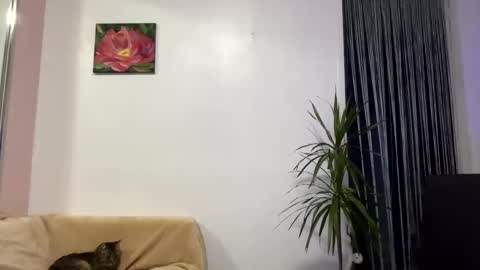 Snapshot of queen_chatur chatting on 28, 1, 2025 Viktoria online show from 28, 1, 2025